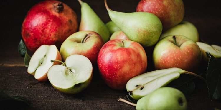 Cae la exportación de peras y manzanas de Río Negro y Neuquén