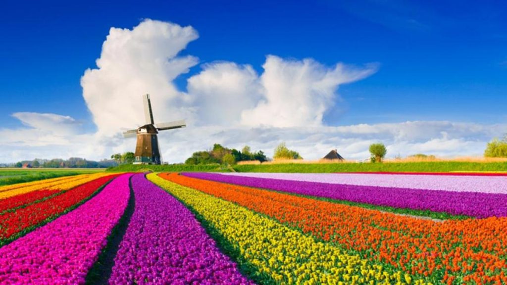 Holanda economía