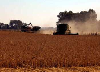 Productores pampeanos apoyan fuertemente el Plan Agrario