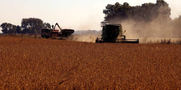 Productores pampeanos apoyan fuertemente el Plan Agrario