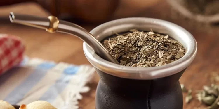 Mate, infusión argentina, cebado y listo para tomar