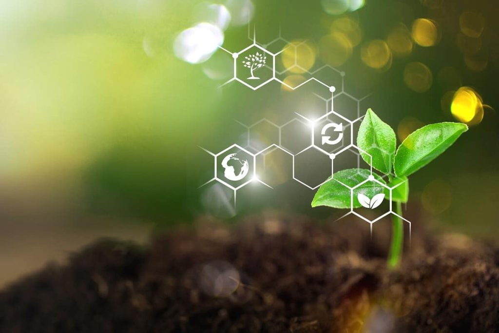 Ejemplos y tipos de bioinsumos