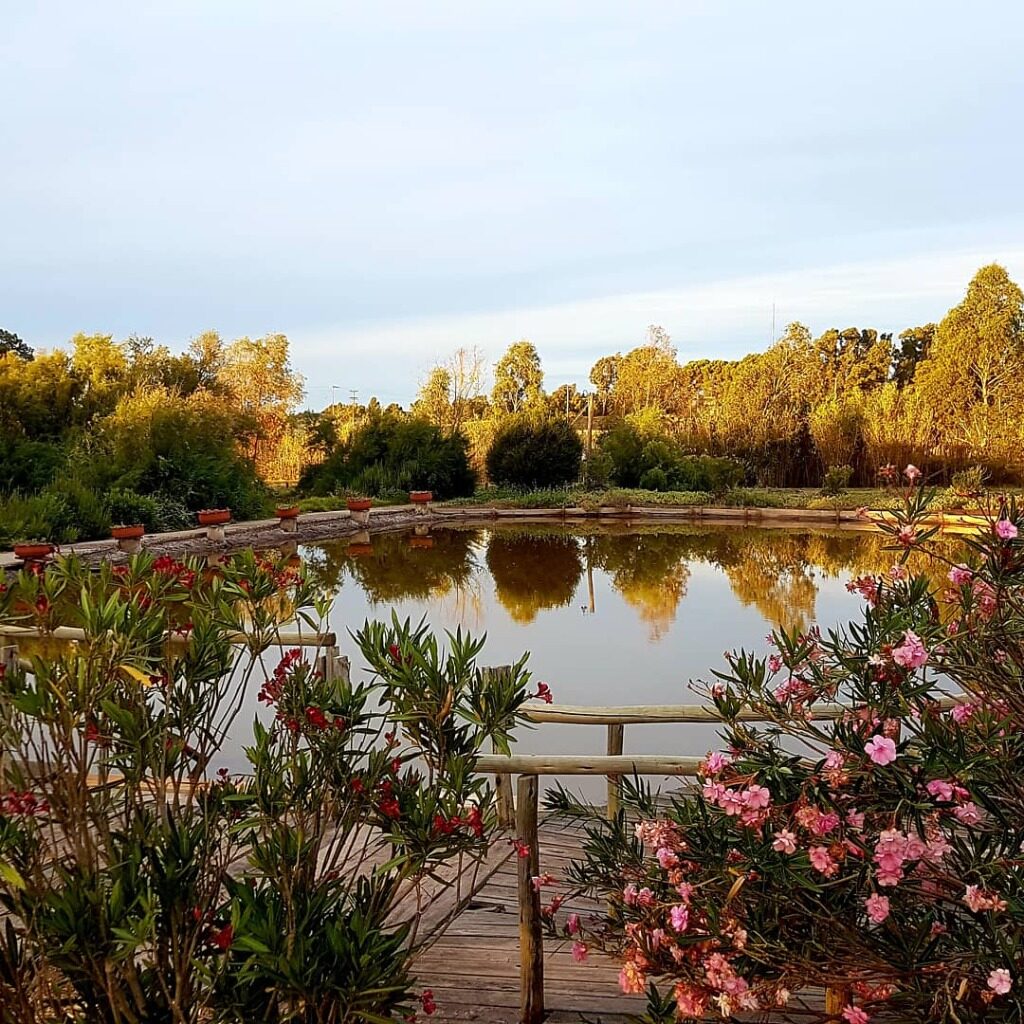 Aguas termales y baño de Barro en Buenos Aires