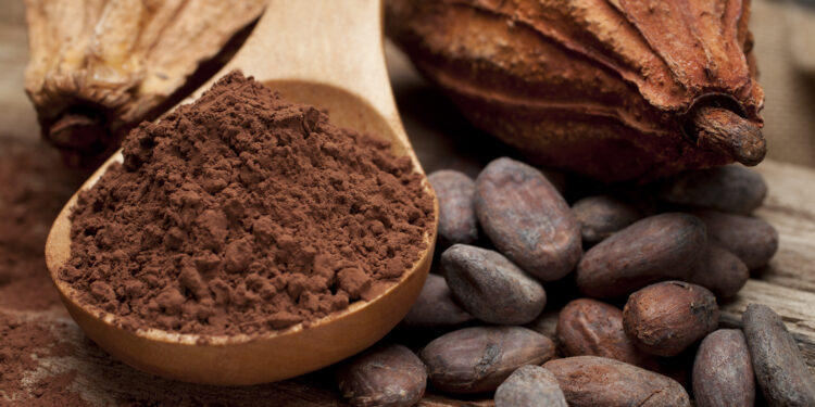 still life of cocoa