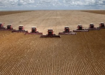 Brasil agroindustrial lecciones de la AAGLP