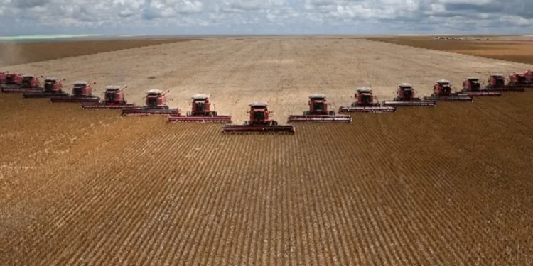 Brasil agroindustrial lecciones de la AAGLP