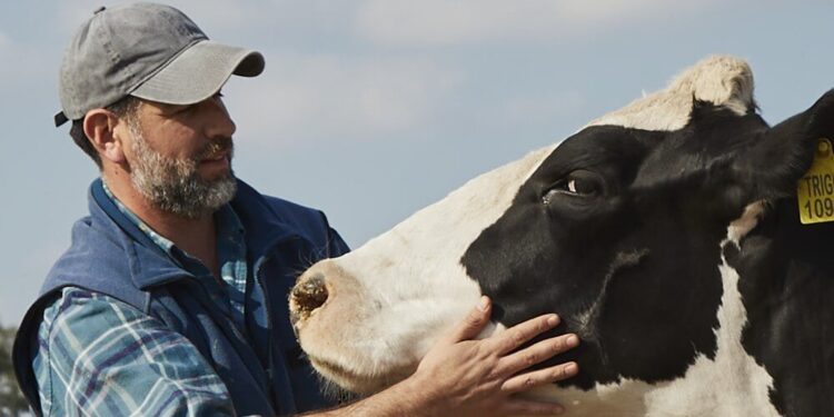 El Bienestar Animal (A) puede mejorar la competitividad en la producción ganadera.