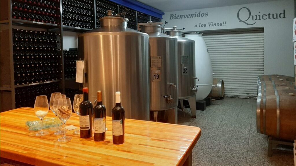 Vinos pampeanos premiados