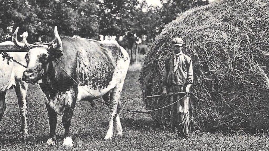 La primera colonia agrícola de la Argentina