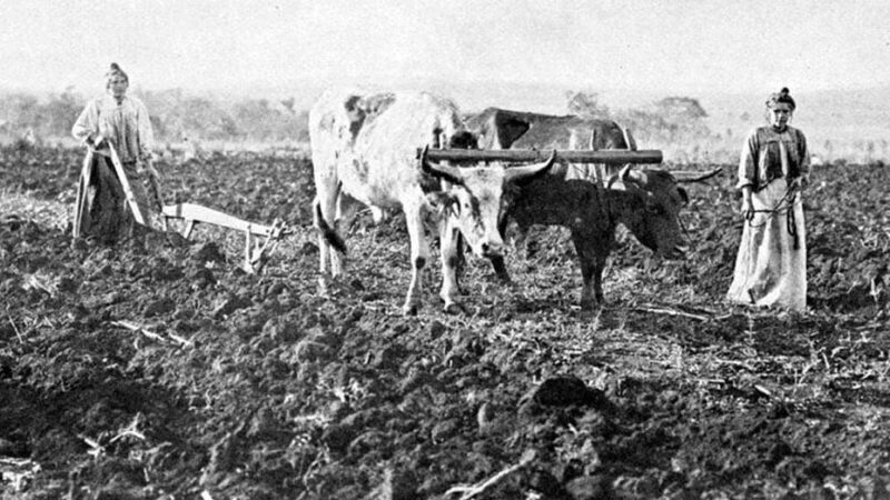 Colonia Agrícola Butaló, la primera de La Pampa