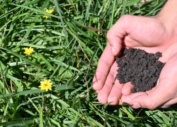 Hydroplus, un hidrogel biodegradable y no tóxico que ahorra agua destinada al riego