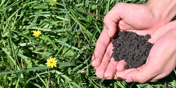 Hydroplus, un hidrogel biodegradable y no tóxico que ahorra agua destinada al riego
