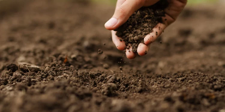 Agricultura. tierra