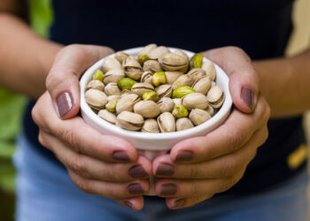 Hand of brunette model holding white pot with pistachio.