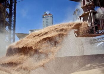 Exportaciones agrícolas y liquidación de divisas en Argentina 2023-2024