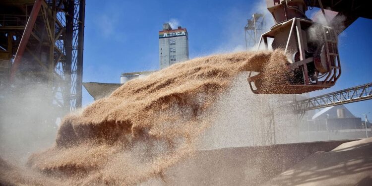 Exportaciones agrícolas y liquidación de divisas en Argentina 2023-2024