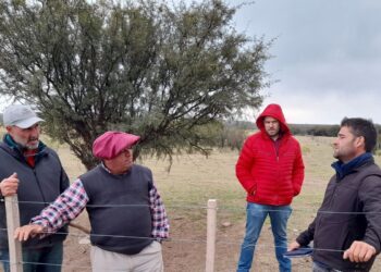 Inversiones rurales en campos de La Pampa