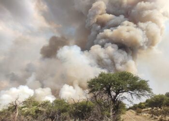 incendios forestales en la pampa manejo del fuego productores agropecuarios