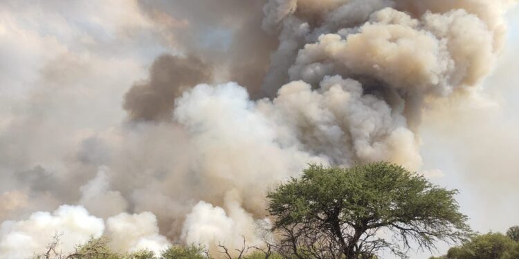 incendios forestales en la pampa manejo del fuego productores agropecuarios