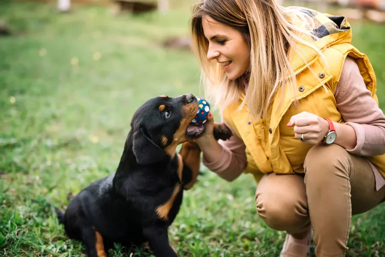 Pet marketing y pet influencers