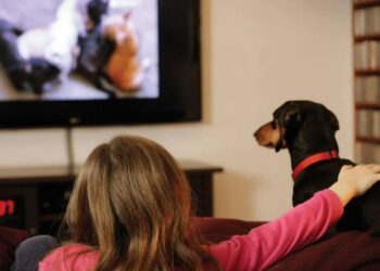 Pet Marketing