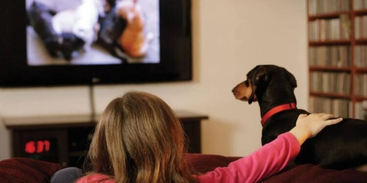 Pet Marketing
