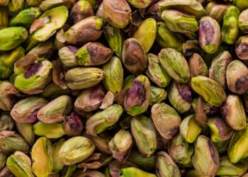 Cultivo y produccion de pistachos en la pampa argentina