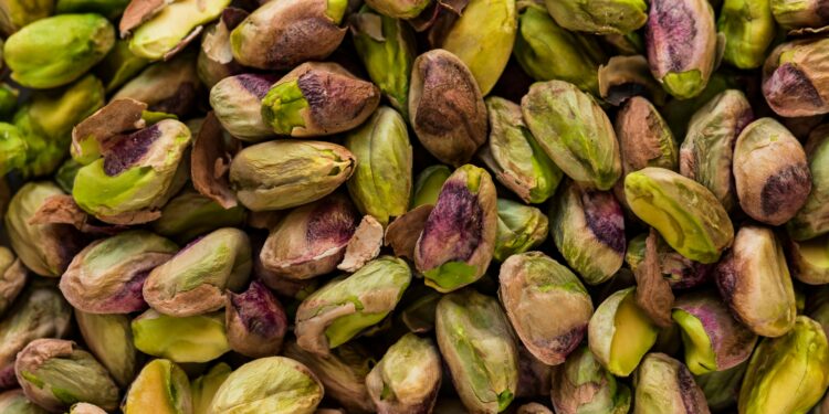 Cultivo y produccion de pistachos en la pampa argentina