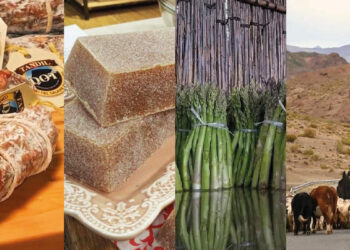 productos argentinos con denominación de origen DOP