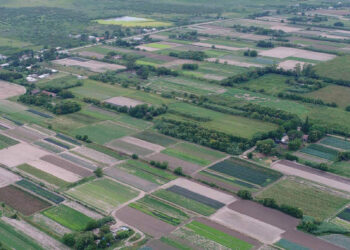 ¿Cómo determinar el valor de una hectárea de campo?