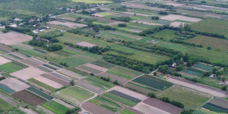 ¿Cómo determinar el valor de una hectárea de campo?