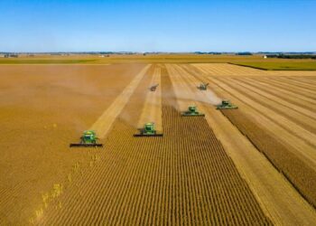 Comunicado de la Asociación Agrícola Ganadera de La Pampa sobre el campo y la participación en la política