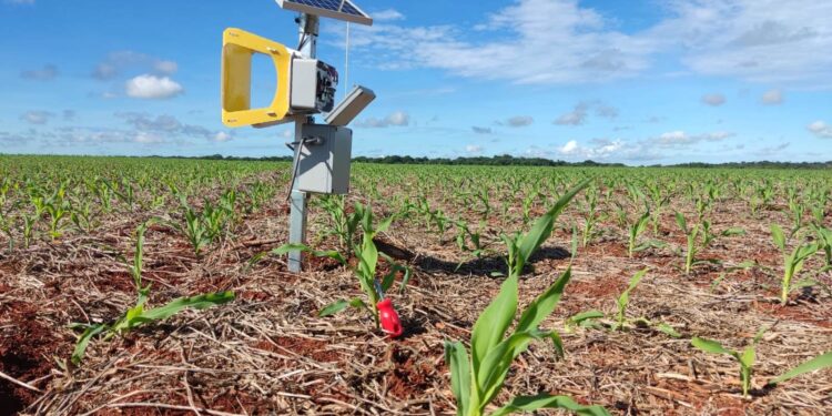 Inteligencia Artificial en la prevención y eliminación de plagas